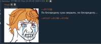 589x260