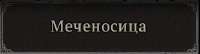 290x79