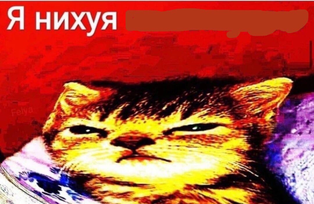 1080x701