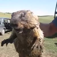 360x360