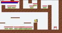 498x269