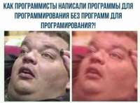460x339