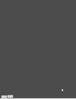 400x516