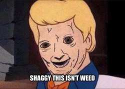 480x343