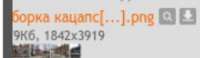 250x73