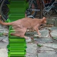 480x480