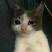 300x300