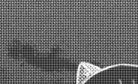 1444x881