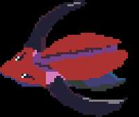 256x216