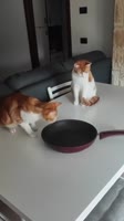 360x642