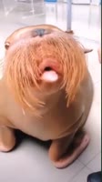 360x640