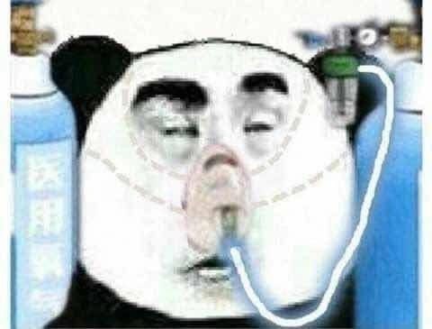 480x365