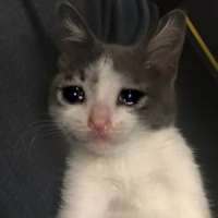 300x300