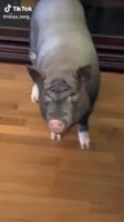 576x1024