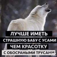 540x540