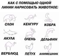 600x571