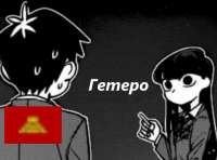 489x364