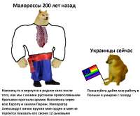 1200x994