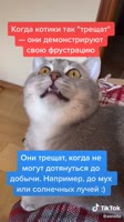 540x960