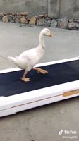 576x1024