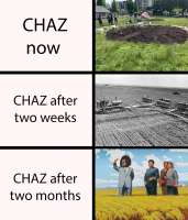 1200x1400