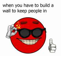 500x486