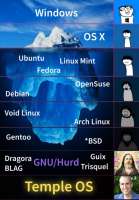 592x849