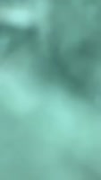 320x564