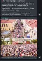 614x880