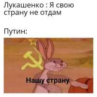520x518