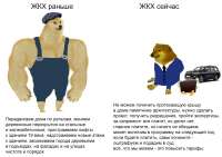 1269x900