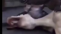640x360