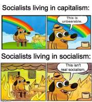 500x558