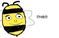 1280x821