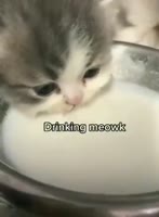 320x434