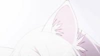 500x280