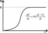 300x208