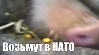 1280x720
