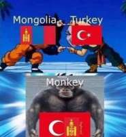 559x604