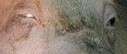 127x54