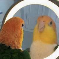 900x900