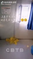 320x568