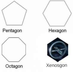 496x506
