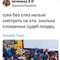 736x736