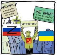 625x613