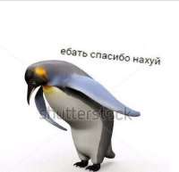 720x698