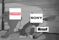 500x339