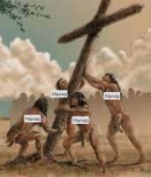 300x350