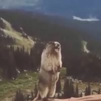 360x360