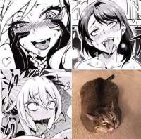 604x598